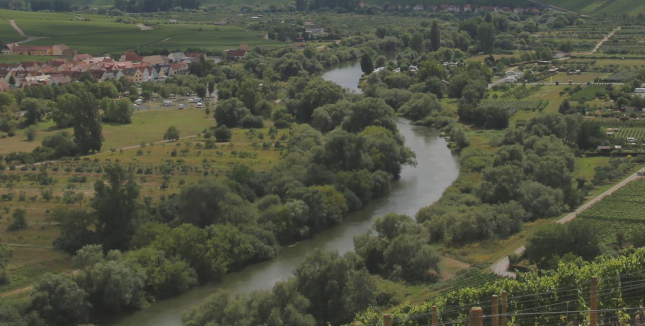 Domizil Nunn Hotel Escherndorf Екстериор снимка